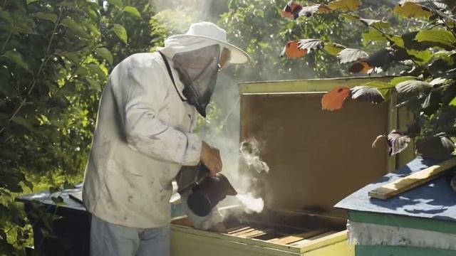 Как Запуск 1,500,000 Шариков Закончился Бедой