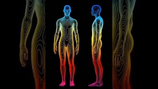 Регуляция теплообразования