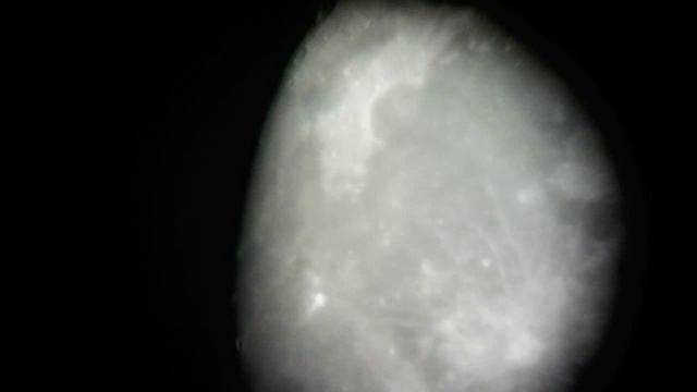 Луна в онлайн-телескоп (Moon in online telescope)