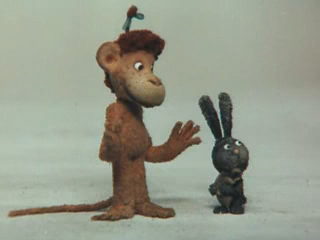 КОАПП. Черный заяц