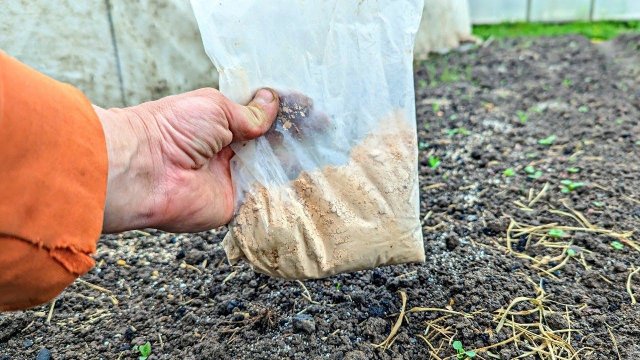 Раскидала осенью такую муку на огороде пропала сныть и другие сорняки навсегда!