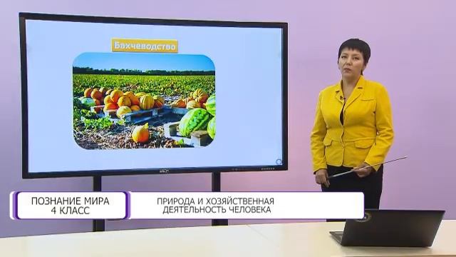 Познание мира. 4 класс. Природа и хозяйственная деятельность человека /16.09.2020/