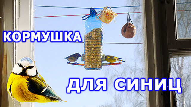 Кормушка для синиц с защитой от голубей. #синичник