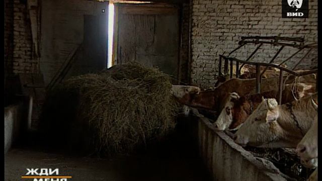 Жди Меня 25.02.2003