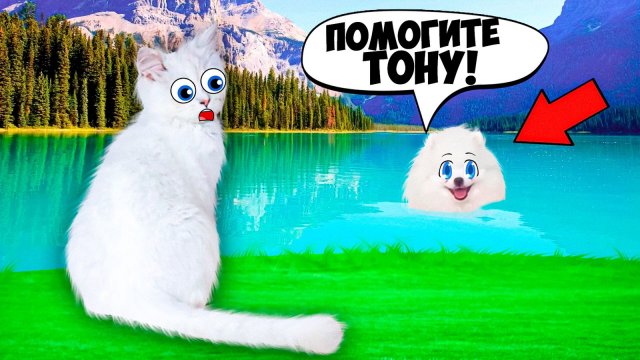 СОБАЧКА Шанелька УТОНУЛА!? Виновата КОШЕЧКА Василиса!!!.mp4