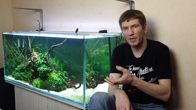 Аэрация в аквариуме. Всё, что нужно знать новичкам