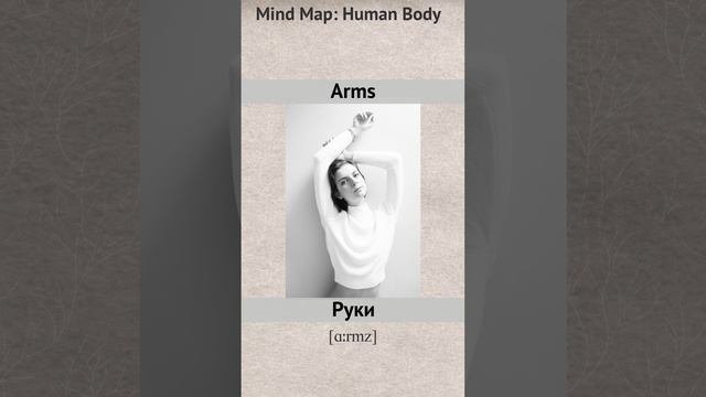 Mind_Map___Physical_Actions_RU-EN