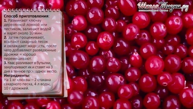Что можно Приготовить из Клюквы
