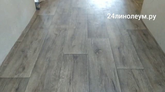 Линолеум Таркетт Гладиатор Миллер 3.  Отзыв характеристики Tarkett Gladiator Miller 3 в интерьере.