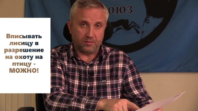 Вписывать лисицу в разрешение на охоту на птицу - МОЖНО!