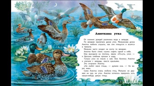Анюткина утка  Виталий Бианки  читает Павел Беседин