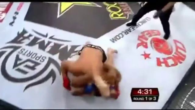 Бой Фабрисио Вердум и Фёдор Емельяненко
