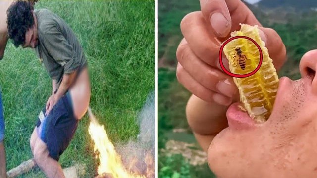 Самые Глупые Люди, Снятые На Айфон