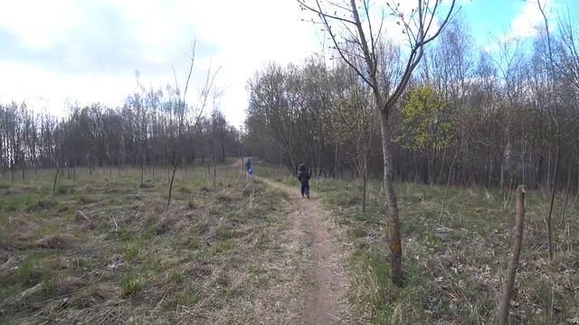 Стейки из свиной шеи в медово-соевом маринаде