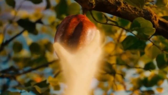 Планета Земля: растения с других планет