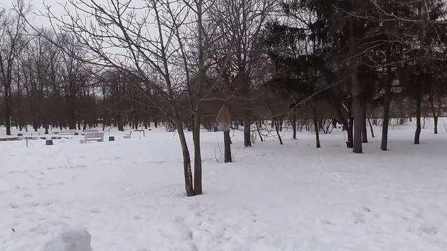 ПАРК ХИМИКОВ В ЧЕРКАССАХ. 06.01. 2019