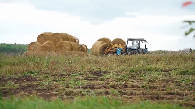ВОТ ЭТО УРОЖАЙ КАРТОФЕЛЯ! ЗА РАЗ НЕ УВЕЗЛИ НА ТРАКТОРЕ _ ПРО НАС НАПЕЧАТАЛИ СТАТЬЮ В ЖУРНАЛЕ
