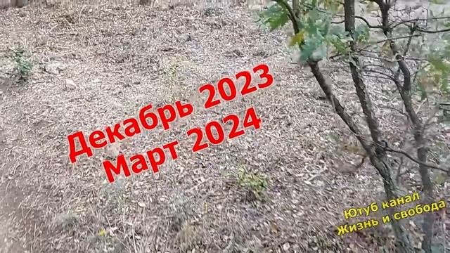Предсказание индийского пророка Ананда на 2024 год