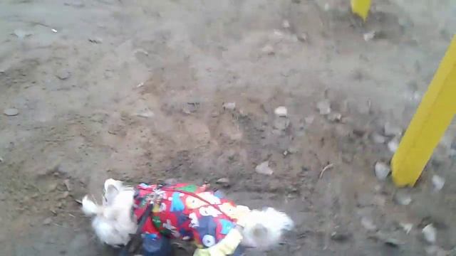 Детская площадка 2