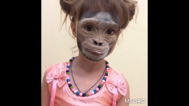 Меняем маски в программе msqrd masquerade Программа MSQRD маскарад меняющая лица