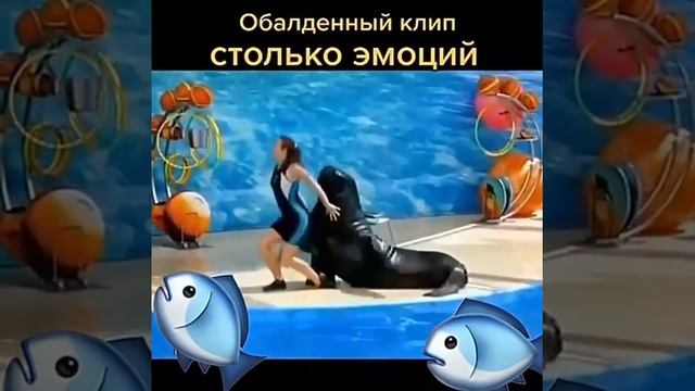 Обалденный клип!!! Столько эмоций!!! Песню исполняет Кайрат Нуртас: Сени суйем! Приятного просмотра