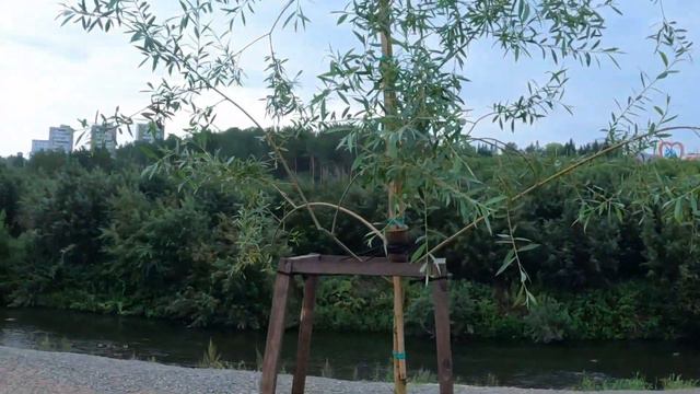 Парк победы имени маршала Г.К. Жукова. Кемерово