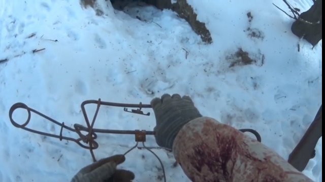 Начинаем охоту на лисицу. Сезон 2022-2023.
