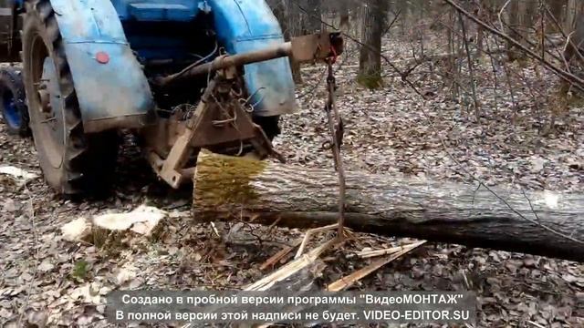 Вывоз леса хлыстами и погрузка на т-40. Часть 1
