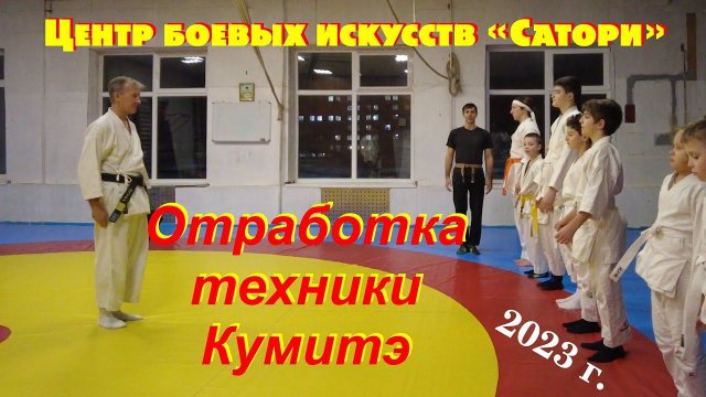 Центр боевых искусств "Сатори". Отработка техники кумитэ.