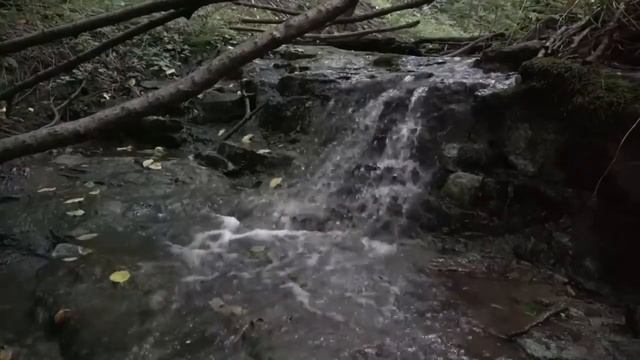 Самая Мощная Матрица Гаряева Коррекция Онкозаболеваний организма