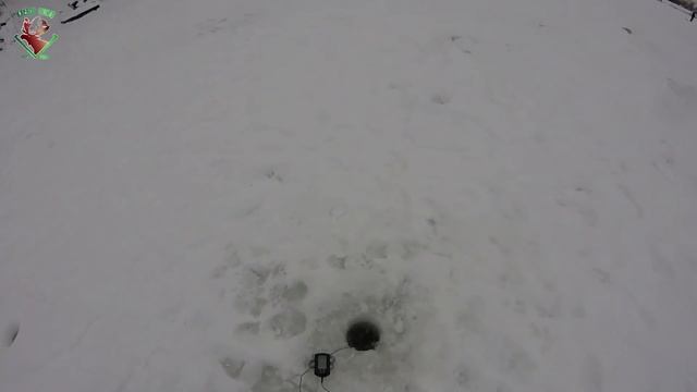 Щука на вибы и ратлины! Супер рыбалка в глухозимье!