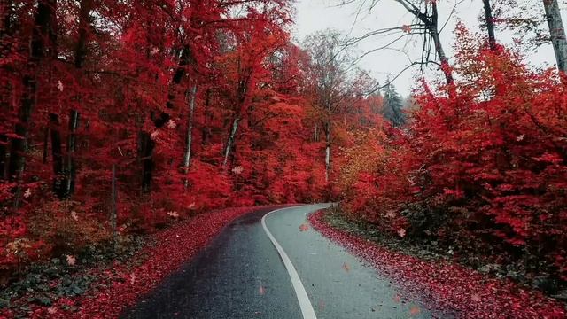 Sevenrose - Пусть Распускаются Цветы В Саду Весеннем У Реки.