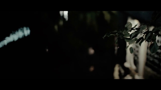 А.Закшевский - Рябиновые ночи
(слова: Игорь Блоцкий, музыка: Александр Закшевский)