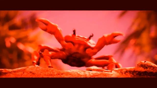 [EXTREME BASS BOOST] Noisestorm - Crab Rave (Monstercat Release)