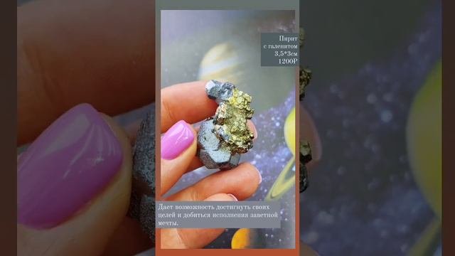 petal_20240908_122445.mp4
