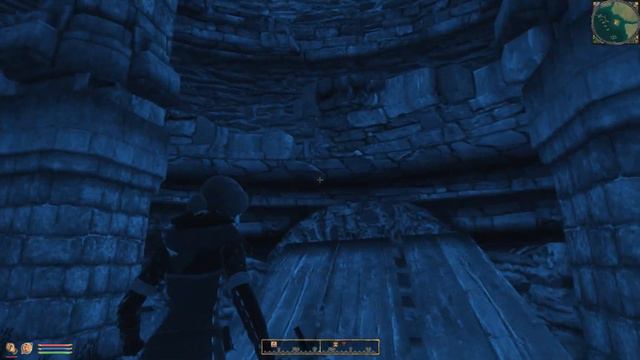 СМЕРТЕЛЬНЫЕ ИГРЫ. Одинокий дозорный - The Elder Scrolls 4: Oblivion. Прохождение #11.