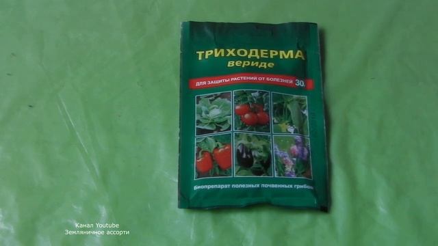 БИОЛОГИЧЕСКИЙ ФУНГИЦИД ТРИХОДЕРМА ВЕРИДЕ, ВСЕ ЧТО НАДО ЗНАТЬ О ПРЕПАРАТЕ