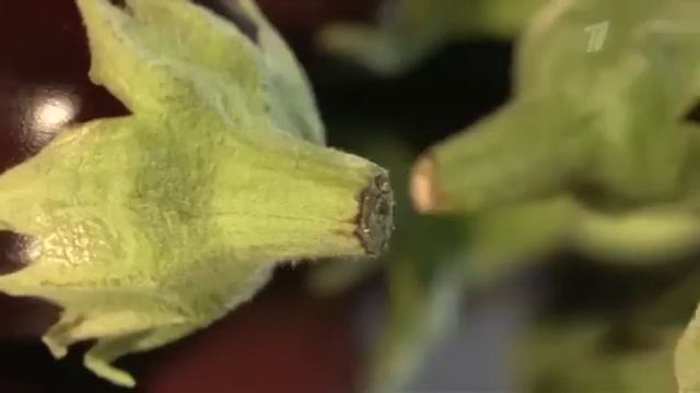 "Влад Листьев." Зачем Я Сделал Этот Шаг?" 01.03.2020