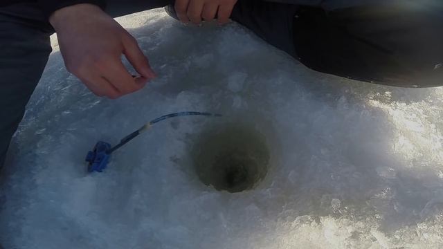 ВЕСЕННЯЯ ПЛОТВА ГОРЬКОВСКОГО МОРЯ. РЫБАЛКА В КАЙФ!!!