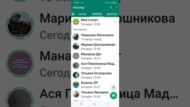 Статусы в WhatsApp. Как посмотреть статус в мессенджере WhatsApp (Вотсап)