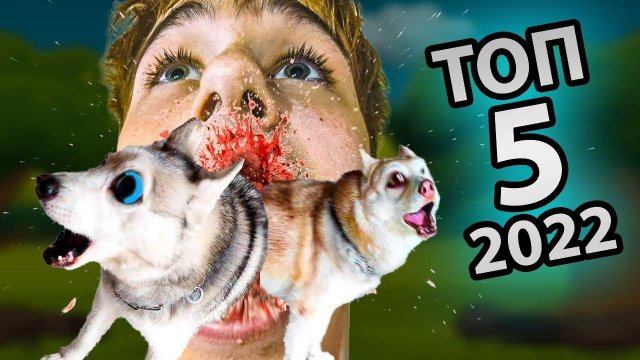 СОЖРИ СОБАК!! Лучшие 5 серий 2022 года! (Хаски Бандит) Говорящая собака