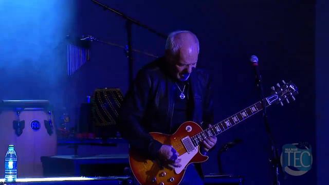 Peter Frampton Black Hole Sun