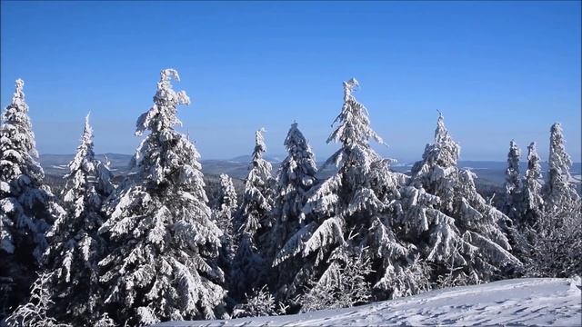 Деревня Дедморозовка Андрей Усачёв