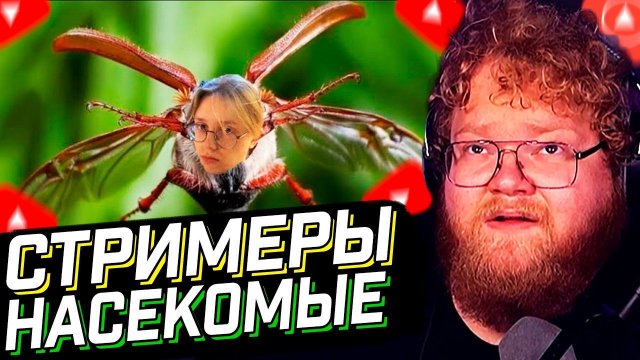 T2x2 СМОТРИТ: На каких насекомых похожи стримеры твича // РЕАКЦИЯ