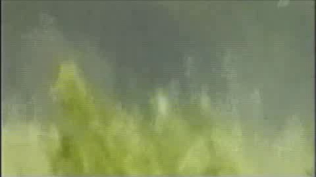 08 - Засада у Волчьей ямы