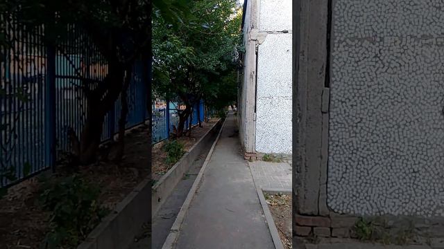 телепорт