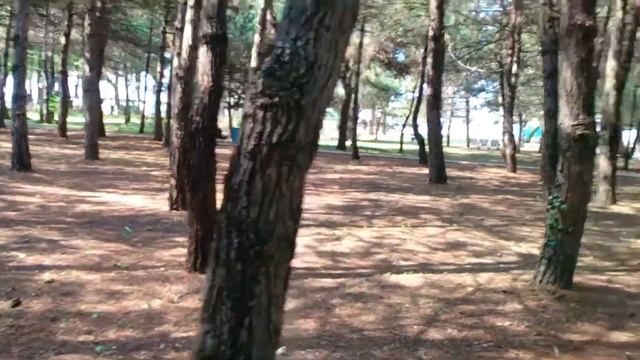 Военный санаторий пос. Дивноморское