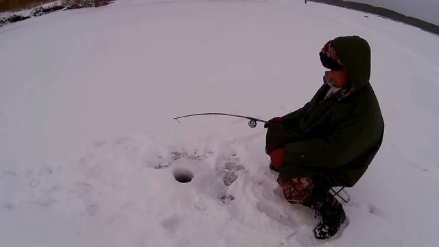 Отзыв о мотобуксировщике Мухтар 7. Езда.