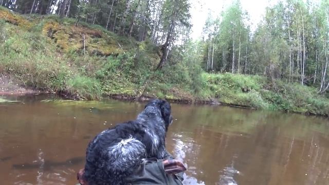 Пеше-водный поход с рыбалкой. Часть 4. Лесная изба. Хариус на спиннинг. Один в тайге. Сплав по реке
