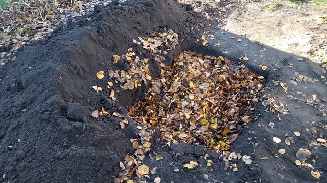 Что делать с опавшими листьями? Утилизация листьев.